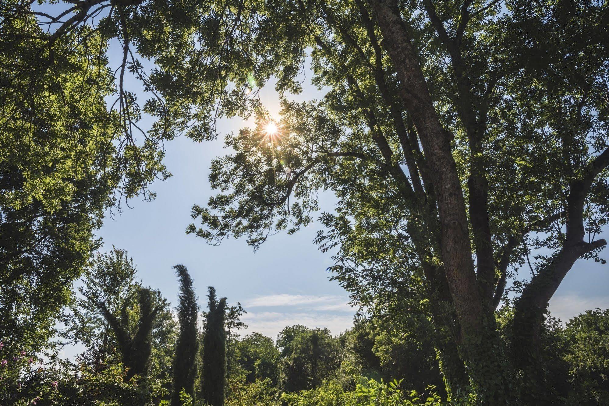 Domaine de Terrac Rimont Exterior foto
